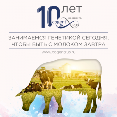 «Коджент Рус»: первая декада лидерства