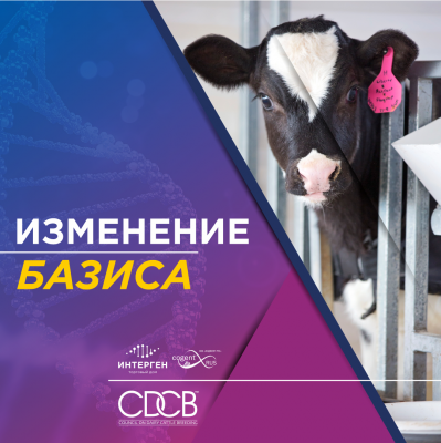 Изменение базиса в апреле 2025г.