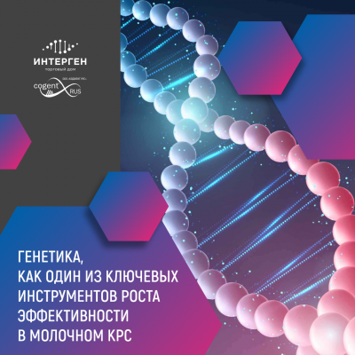Генетика, как один из ключевых инструментов роста эффективности в молочном КРС