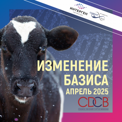 Как изменился базис в апреле 2025г.?